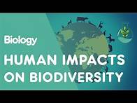 Video thumbnail for Human Impacts on Biodiversity | Ecology and Environment | Biology | FuseSchool