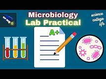 Video thumbnail for How to study for Microbiology Lab Practical Test