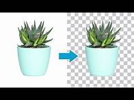 Video thumbnail for How To Export Transparent Backgrounds In Photoshop (Easy!)