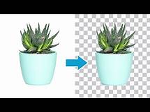 Video thumbnail for How To Export Transparent Backgrounds In Photoshop (Easy!)