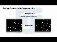 Video thumbnail for ImageJ/Fiji - Segmentation Part 2: Preprocessing