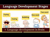 Video thumbnail for language development stages in childhood | babbling cooing