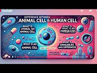 Video thumbnail for Animal Cells and Human Cells A Detailed Comparison Human cell vs Animal cell DIFFERENCES