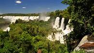Video thumbnail for Layers of a rainforest - Tropical rainforest regions of the world  - 3rd level Geography Revision - BBC Bitesize