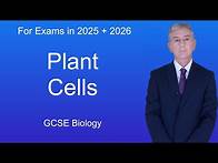 Video thumbnail for GCSE Biology Revision "Plant Cells"