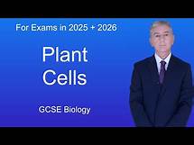 Video thumbnail for GCSE Biology Revision "Plant Cells"