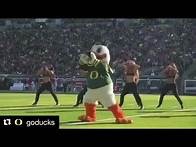 Video thumbnail for Oregon Duck dancing with cheerleaders! Oregon mascot dances with cheerleaders on the field