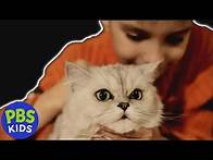 Video thumbnail for Sid the Science Kid | Love Your Pet Song | PBS KIDS