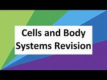 Video thumbnail for Year 8 Cells and Body Systems Revision