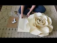 Video thumbnail for Ann's Large Rose