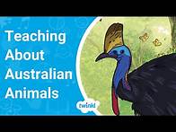 Video thumbnail for How to Teach About Australian Animals