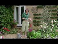 Video thumbnail for How to encourage wildlife in your urban garden | The RHS