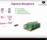 Video thumbnail for Capture-Recapture Video