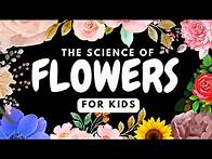Video thumbnail for Science of Flowers For Kids by Little Lab | Educational Videos for Toddlers
