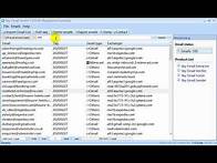 Video thumbnail for Sky Email Sorter | Sort Bulk Email List Fast and Easy!
