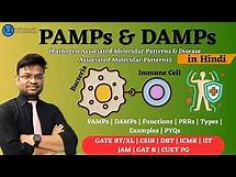 Video thumbnail for PAMPs & DAMPs Explained with PYQs | Innate Immunity | GATE BT, CSIR NET, DBT, GAT-B
