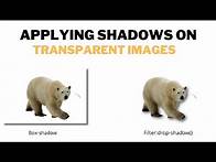 Video thumbnail for How to Apply CSS Shadow On Transparent Images