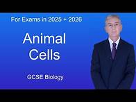 Video thumbnail for GCSE Biology Revision "Animal Cells"