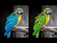 Video thumbnail for How to Adjust Specific Colors with Hue & Saturation Adjustment Layers in Photoshop