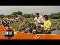 Video thumbnail for Zoo | Virtual Field Trip | KidVision Pre-K