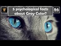 Video thumbnail for Unveiling the Enigma: 5 Intriguing Psychological Insights into Gray Color | Suyash Bajpai