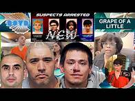 Video thumbnail for Judge Stephanie Boyd 187th Bexar County Court Sentencings April 3 & 4, 2025