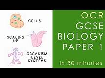 Video thumbnail for All of OCR BIOLOGY Paper 1 in 30 minutes - GCSE Science Revision (Gateway)