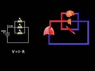 Video thumbnail for Ohm's Law and Hemodynamics (Fluid Mechanics - Lesson 9)