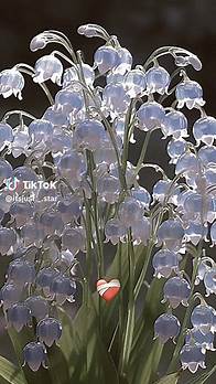 Video thumbnail for Beautiful but Poisonous Flowers - Unique and Dangerous Floral Varieties