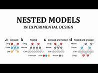 Video thumbnail for Nested Design in Experimental design. Theory, Example and calculations step by step.