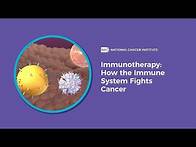 Video thumbnail for Immunotherapy: How the Immune System Fights Cancer