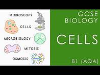 Video thumbnail for CELL BIOLOGY - GCSE Biology (AQA Topic B1)