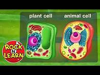 Video thumbnail for Life Science for Kids - Photosynthesis, Cells, Food Chains & More
