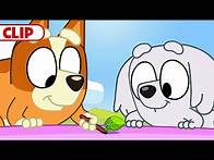 Video thumbnail for Bluey Season 3 "Slide" Episode Clip | @disneyjr x @BlueyOfficialChannel