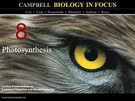 Video thumbnail for Biology in Focus Chapter 8: Photosynthesis
