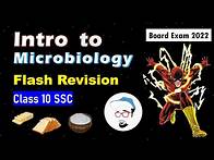 Video thumbnail for Introduction to Microbiology | Flash Revision | SSC Class10 | Parth Momaya