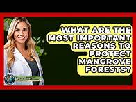Video thumbnail for What Are The Most Important Reasons To Protect Mangrove Forests? - Earth Science Answers