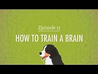 Video thumbnail for How to Train a Brain: Crash Course Psychology #11