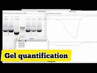 Video thumbnail for How to quantify gel bands in imageJ | common quantification mistake