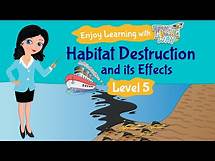 Video thumbnail for Habitat Destruction: Human Impacts on Biodiversity | Science | TutWay