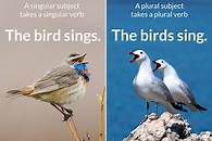 Video thumbnail for Learn the Rules of Subject-Verb Agreement in English Grammar