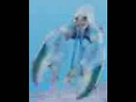 Video thumbnail for Roblox Midnight Universal Blue Lobster (2D) Is The Protagonist!