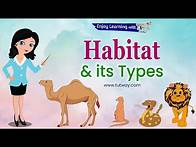 Video thumbnail for Animals and their Habitats | Habitat of Animals | Animal Habitats | Animal Homes | Science
