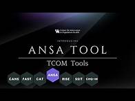 Video thumbnail for Introducing the ANSA (Adult Needs & Strengths Assessment)