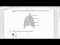 Video thumbnail for CSEC Biology JUNE 2023 Paper 1 Solutions