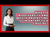 Video thumbnail for What Is Biodiversity And Why Is Protecting It In Antarctica Crucial? - Polar Regions Uncovered