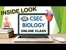 Video thumbnail for CSEC Biology Online Class| Respiration & Circulatory System| CXC Biology Tutor