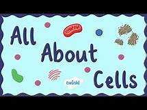 Video thumbnail for All About Animal Cells for Kids | Middle School Science | Twinkl USA