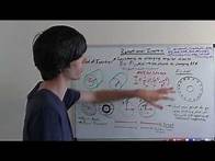 Video thumbnail for Rotational Inertia - Effects on Horsepower