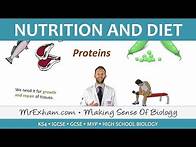 Video thumbnail for Nutrition and Diet - GCSE Biology (9-1)